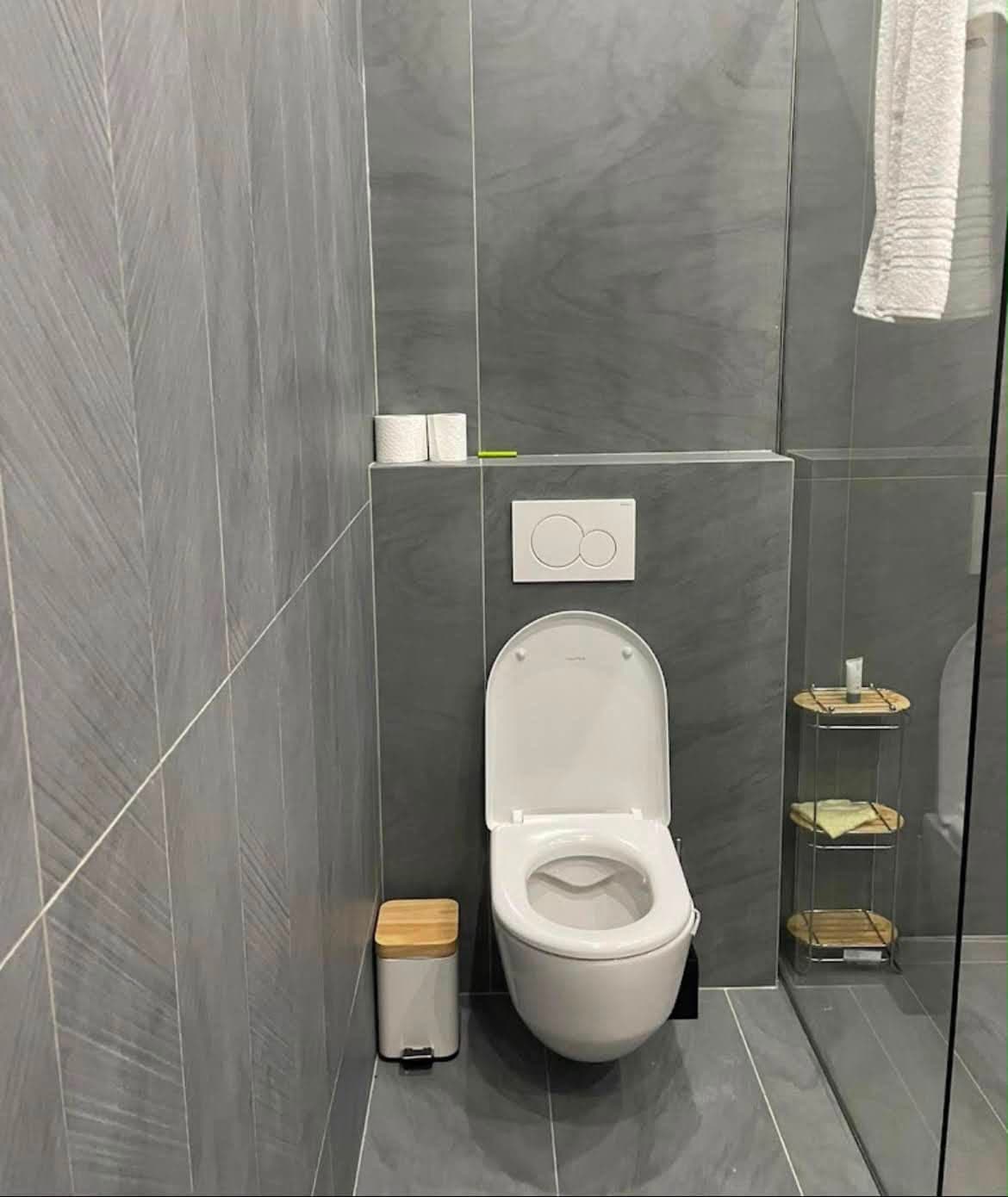 WC suspendu sur bâti-support habillé, plaque de commande blanche et faïence en chevrons